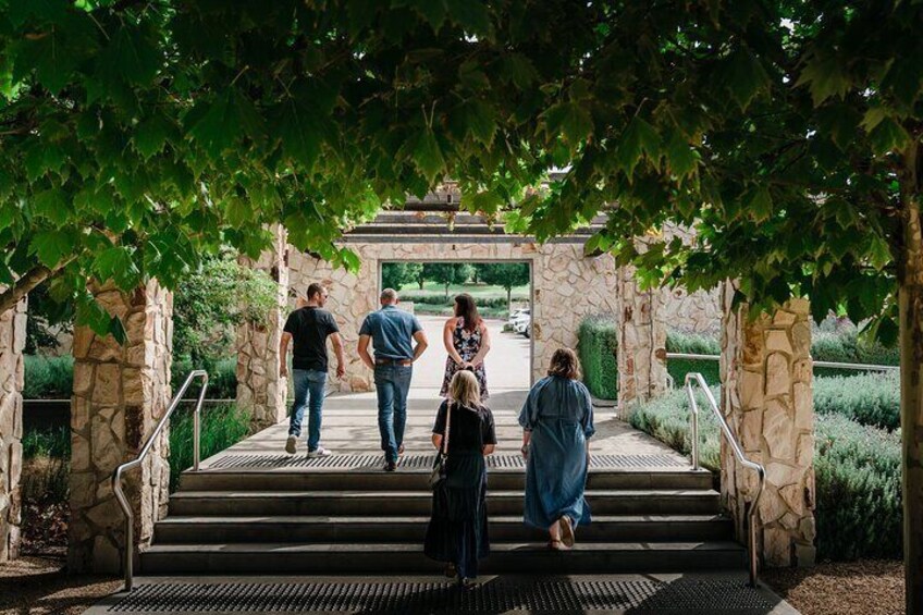 Gorgeous cellar doors to explore