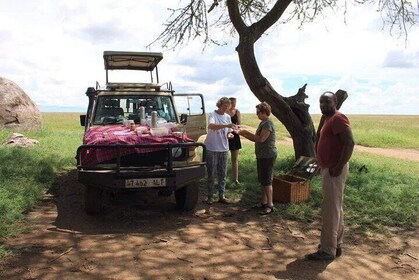 Private 5 Day Kenya Safari in Mara Lake Naivasha and Amboseli