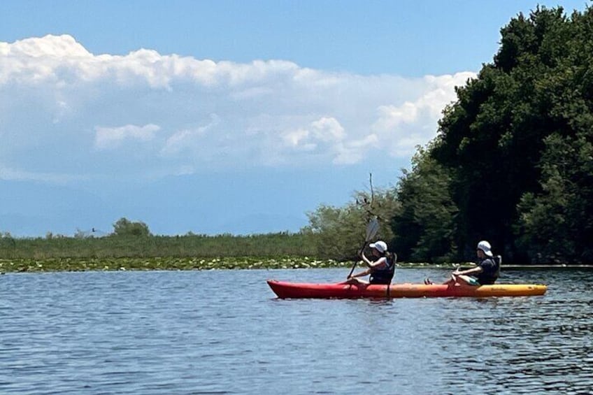 Tour on Skadar Lake on Kayak or Paddle board