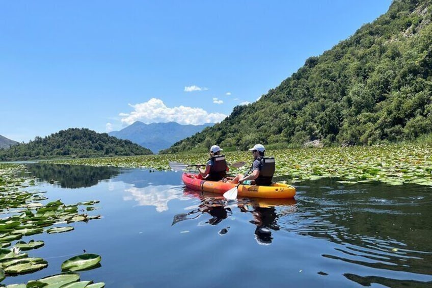 Tour on Skadar Lake on Kayak or Paddle board