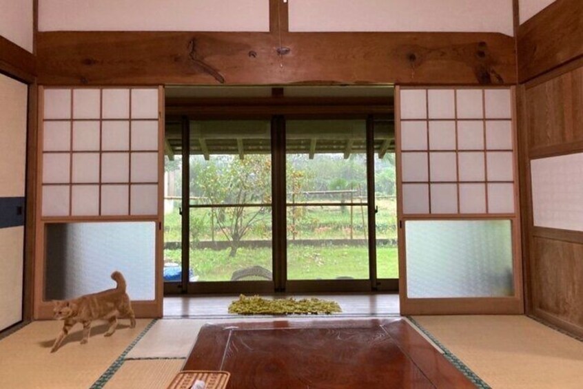 Staying in a Traditional Japanese house in Chiba