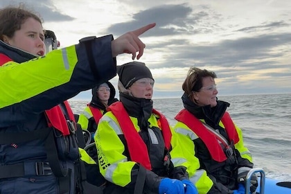 Private Whale Watching RIB Boat Tour in Reykjavik area