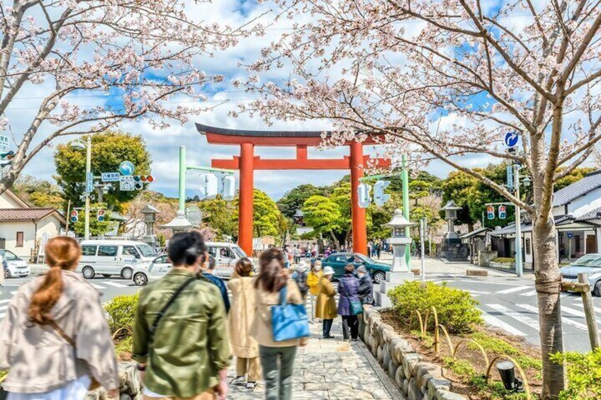 Greedy Gourmet and Temple Tour in Kamakura