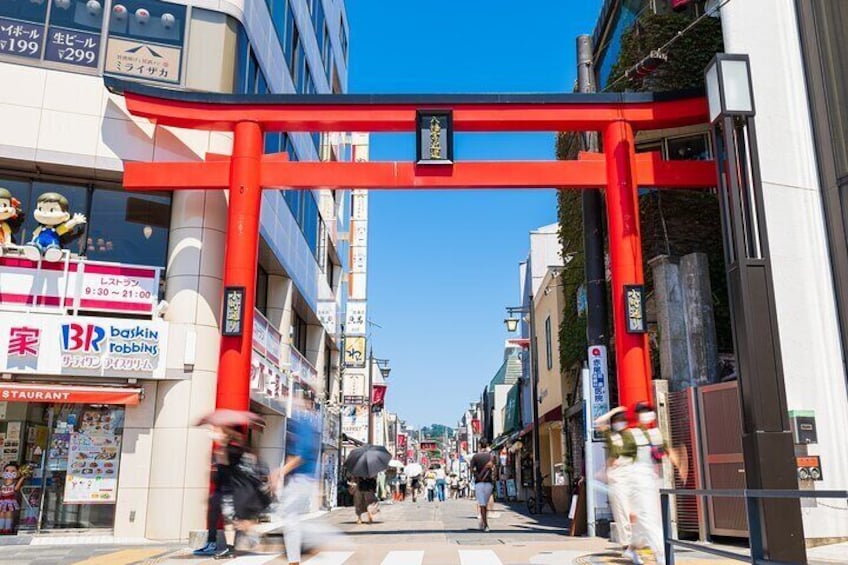 Greedy Gourmet and Temple Tour in Kamakura