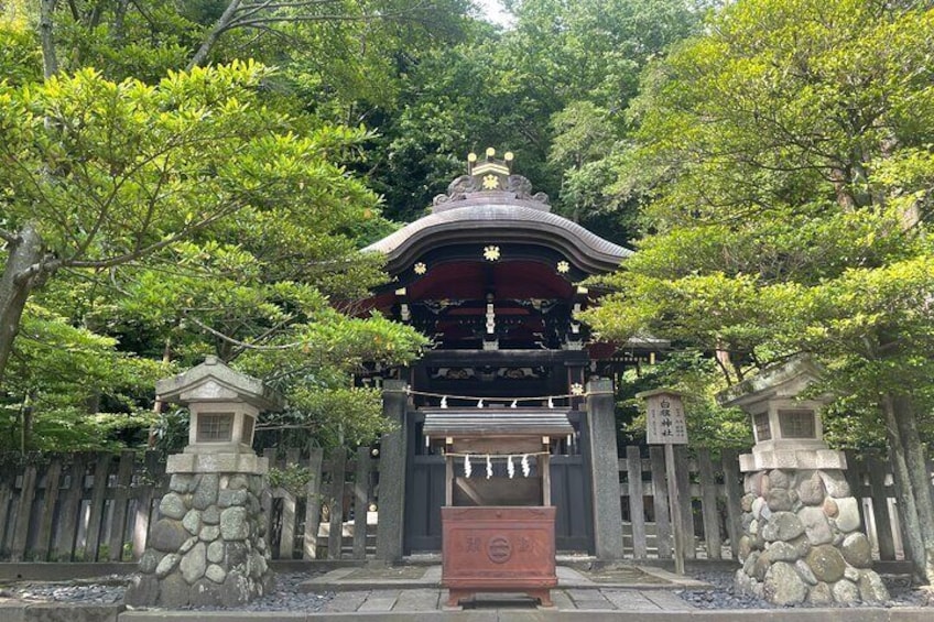 Greedy Gourmet and Temple Tour in Kamakura