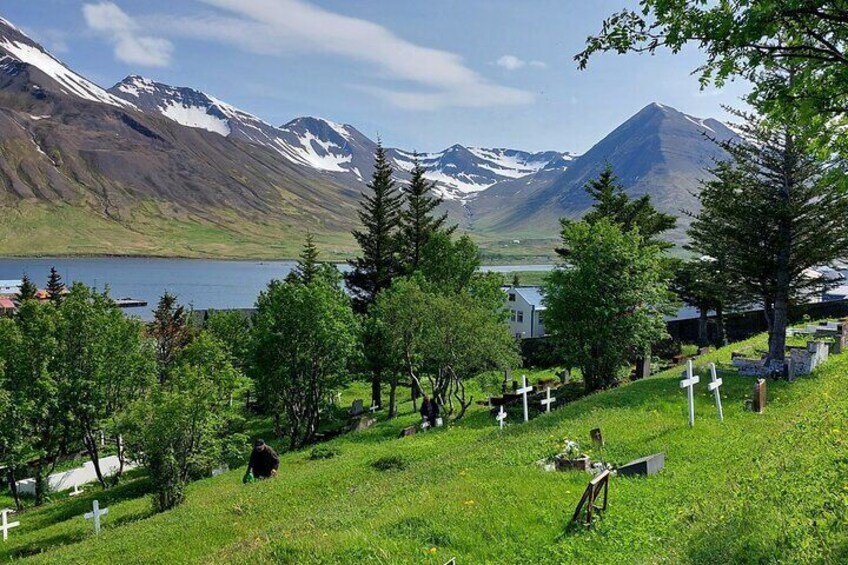 Akureyri Siglufjörður Half Day Tour to the Arctic Coastline