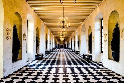 Chenonceaux Château Revealed: Exclusive Walking Tour