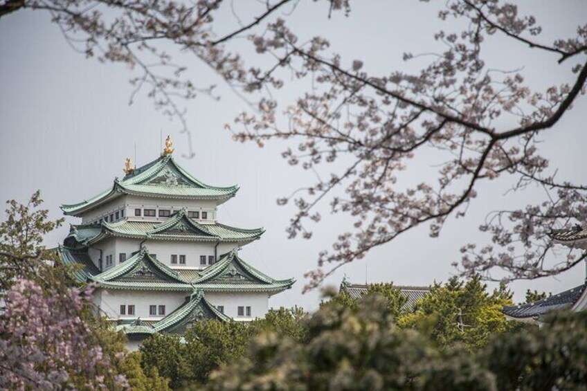 Guided Garden Walk: Nagoya Castle, Gardens & Historic Estate