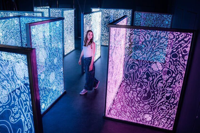 IKONO Budapest. Immersive Experience