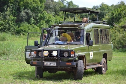 2 Days Safari Akagera National Park