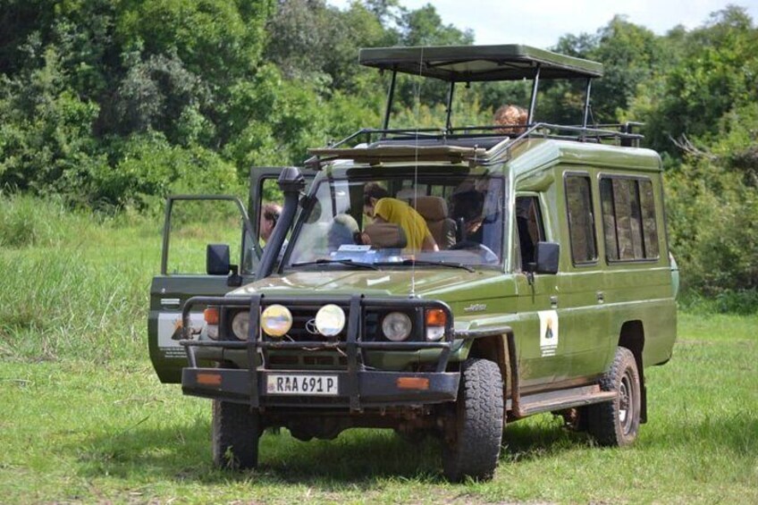 1 Day Akagera Safari