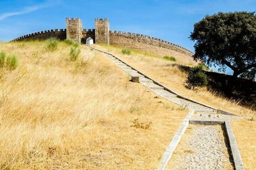 Private Wine & Food Tour in Alentejo