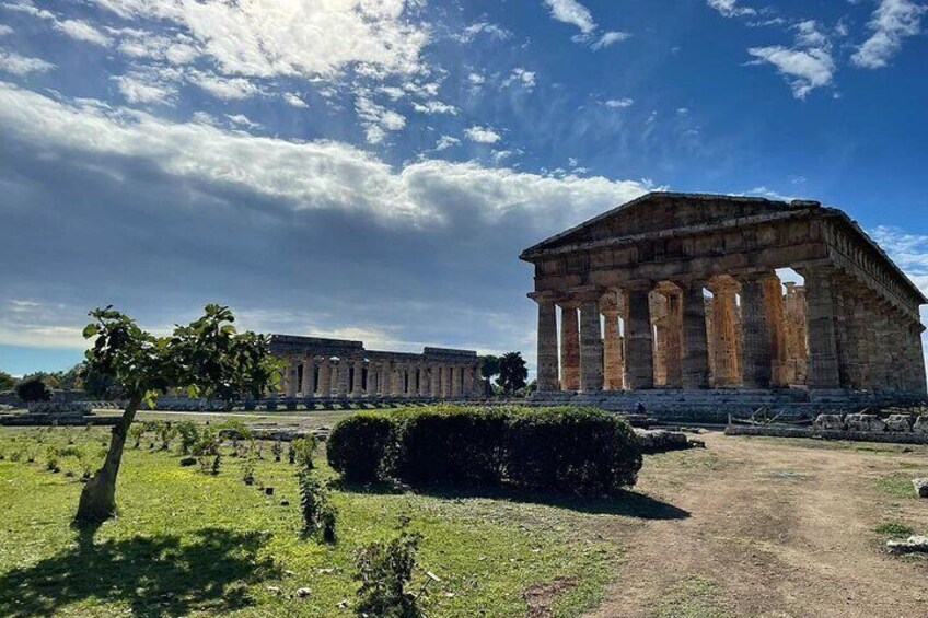 Paestum Whole Family Private Tour