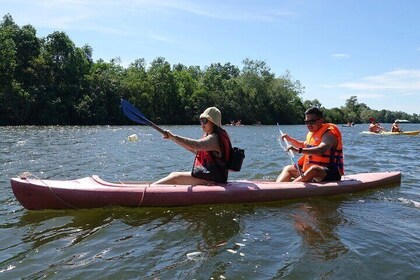 Northern Phu Quoc 1Day Tour with Kayaking