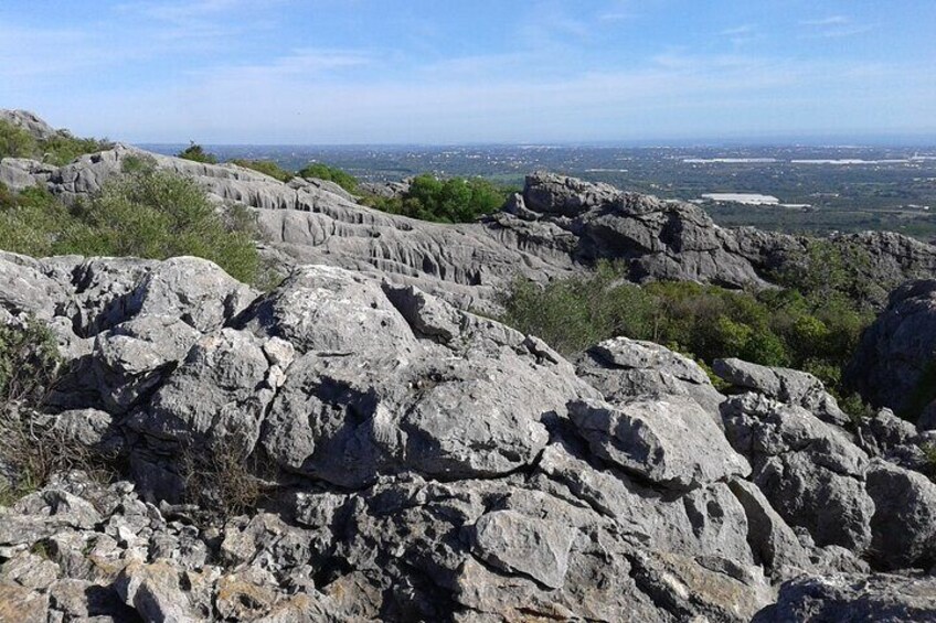Looking Southeast