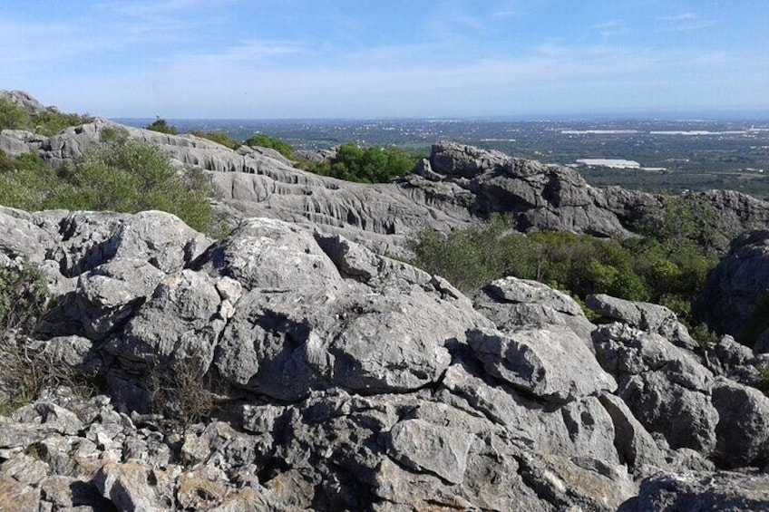 Looking Southeast