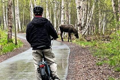 eBike Art and Trails Guided Tour of Anchorage