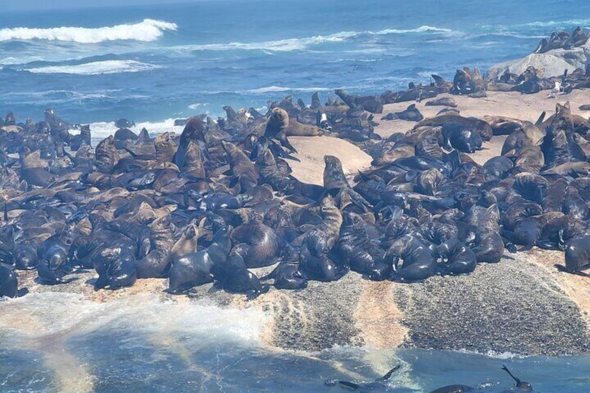  4 Days Private Cape Town Exploration and Surroundings