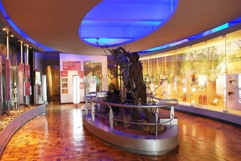 Private Nairobi City Tour and Lunch at Carnivore
