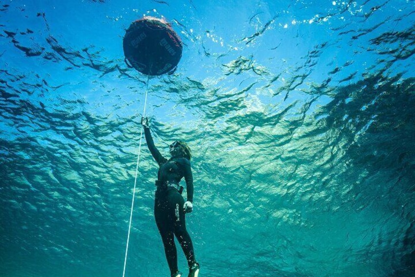 3-Hour Free Diving Experience in the Balearic Islands