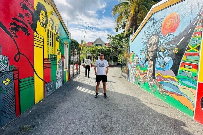 Bob Marley Day Experience
