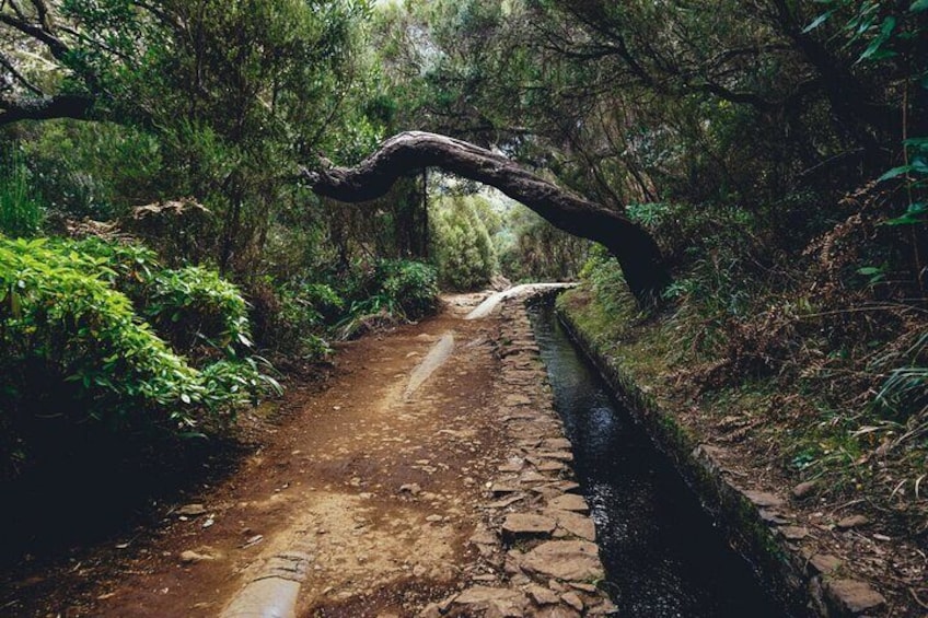 Rabaçal 25 Fontes Madeira Island Walk