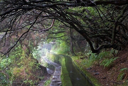 Rabaçal 25 Fontes Madeira Island Walk