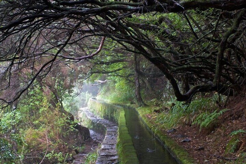 Rabaçal 25 Fontes Madeira Island Walk