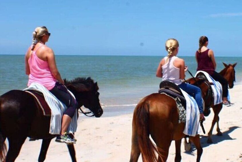 4 Hour ATV and Horse Back Riding Private Combo Tour