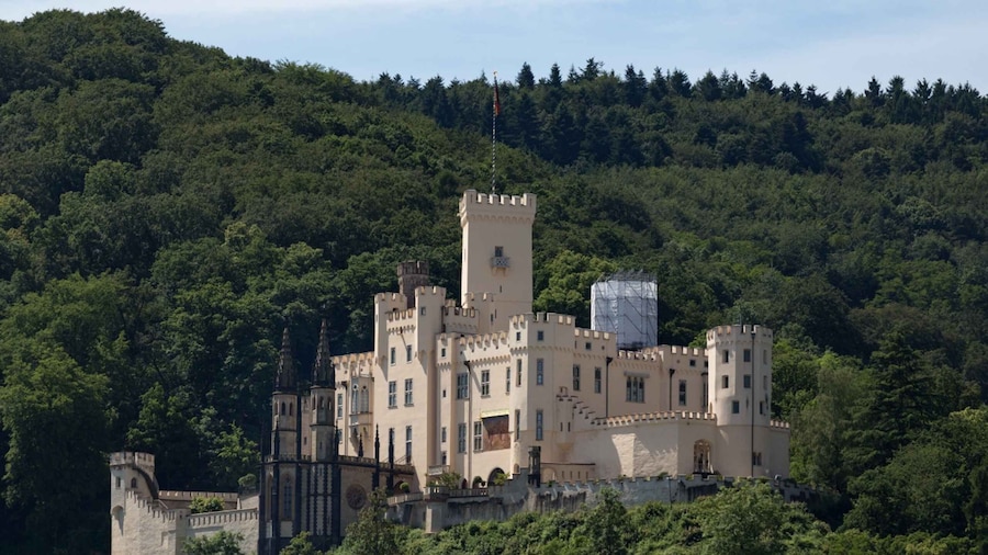 Koblenz: Rhine Valley Castle Sightseeing Cruise