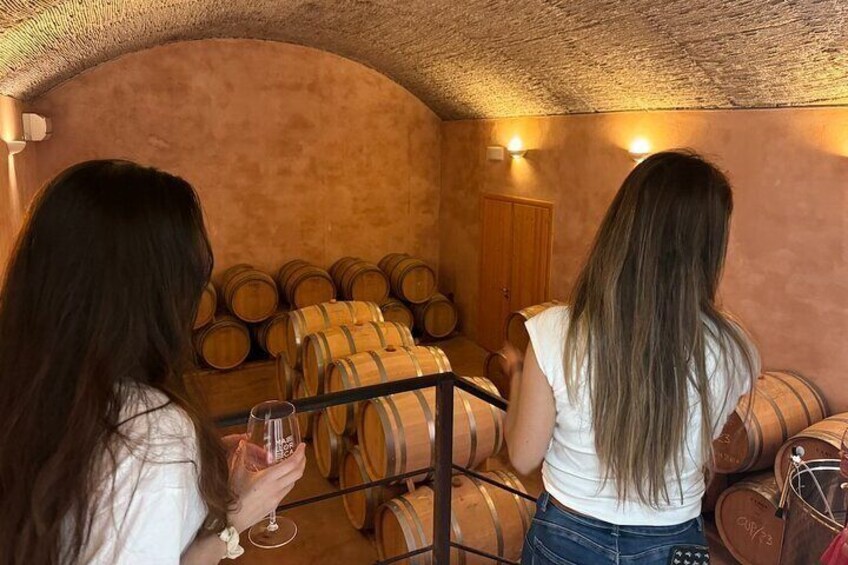 Alcudia Vineyard Tour and Exclusive Wine Tasting Experience