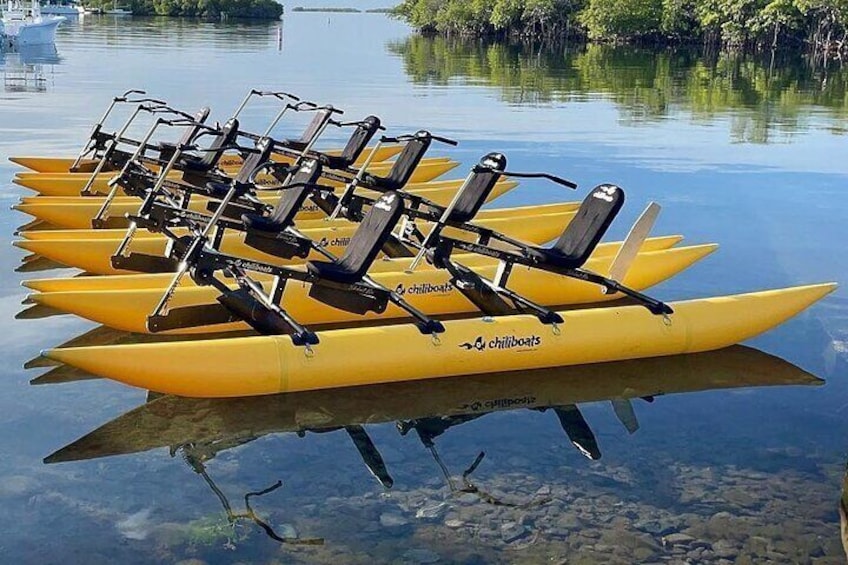 Condado Lagoon Chiliboats Waterbike Guided Tour