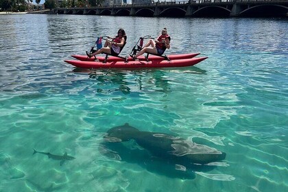 Aventura Eco-Tour en Chiliboats en Condado Lagoon, San Juan