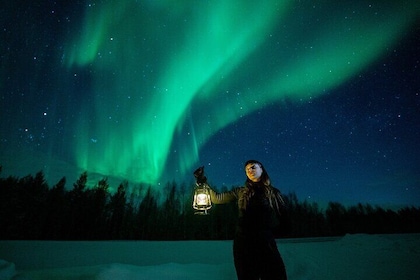 ROVANIEMI Unlimited Range Northern Lights Hunt with VIP Van