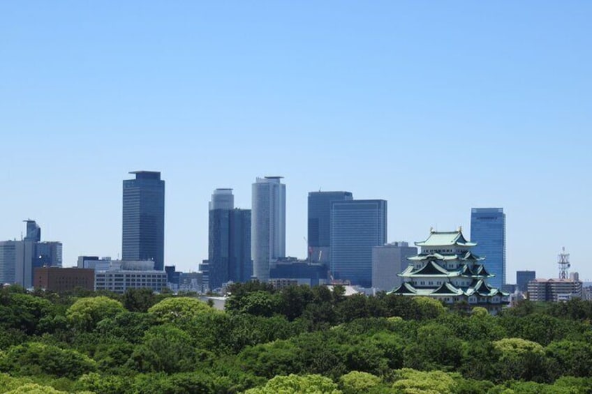 Full Day Food Tour in Nagoya