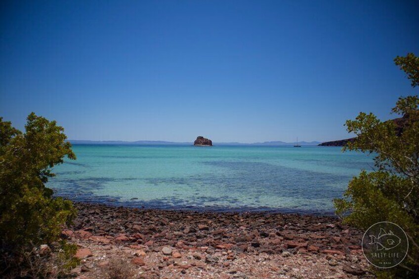 Espiritu Santo Island and sea lions 