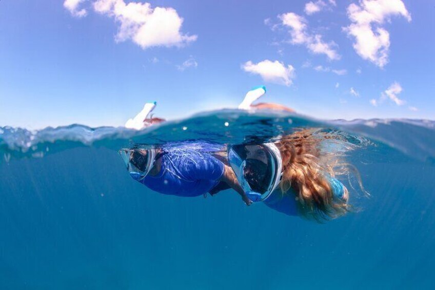 Guided snorkeling in the Portofino Marine Protected Area