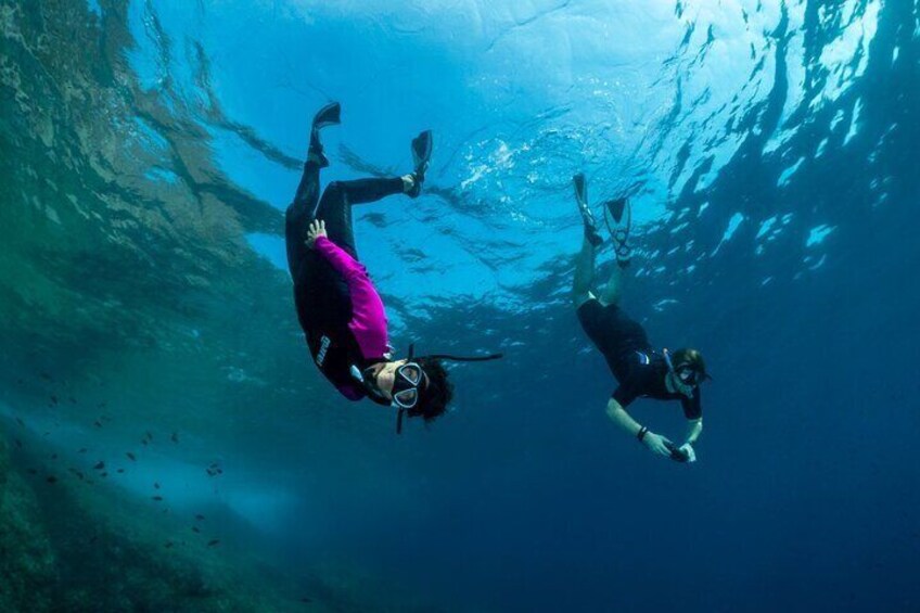 Guided snorkeling in the Portofino Marine Protected Area