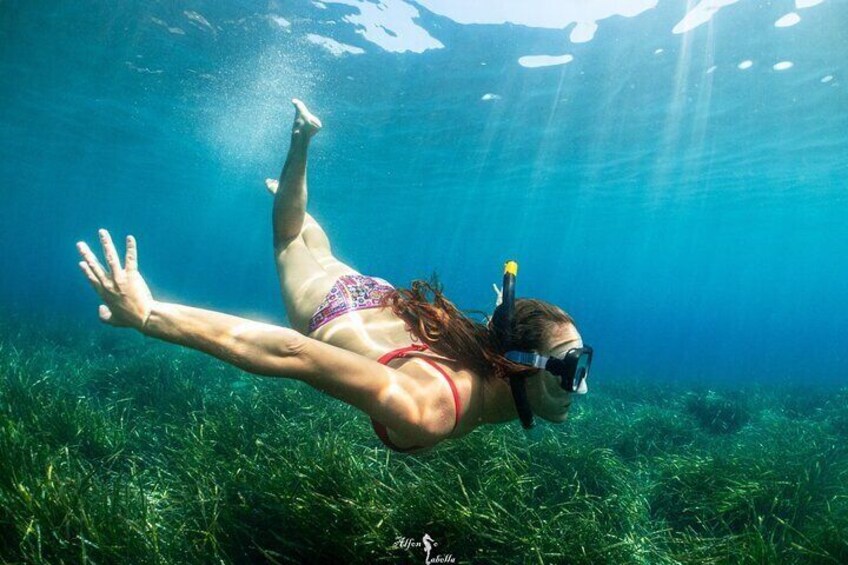 Guided snorkeling in the Portofino Marine Protected Area