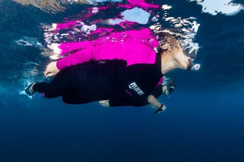 Guided snorkeling in the Portofino Marine Protected Area