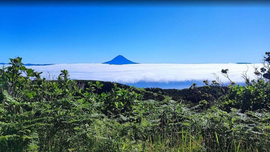 São Jorge: Island Round Trip Up to 4 Hours.