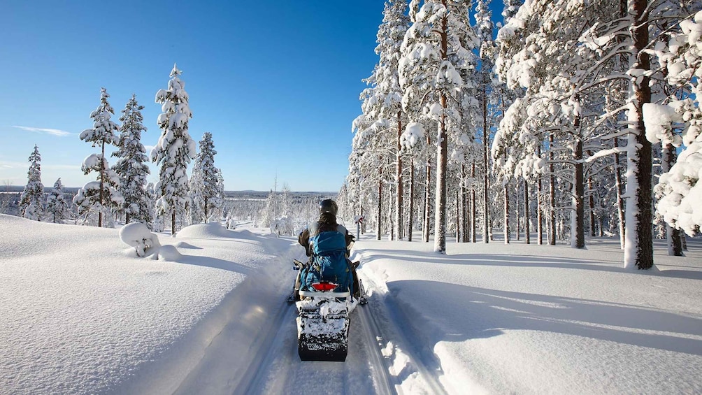 Picture 1 for Activity From Rovaniemi: 2-Hour Snowmobile Safari