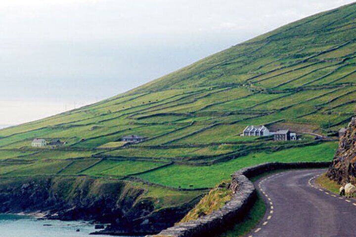 Private Tour to Dingle & Slea Head from Cork
