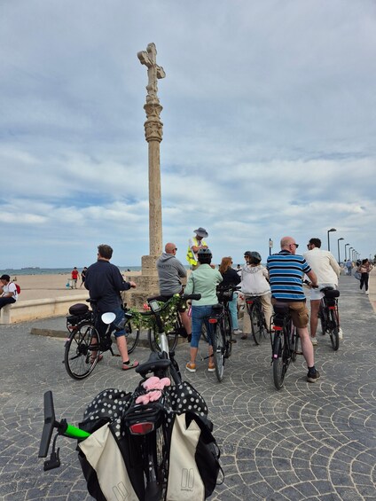 Picture 4 for Activity Valencia's Albufera, cycling guided tour