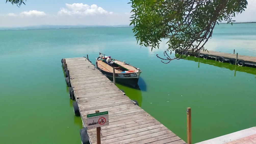 Picture 5 for Activity Valencia's Albufera, cycling guided tour