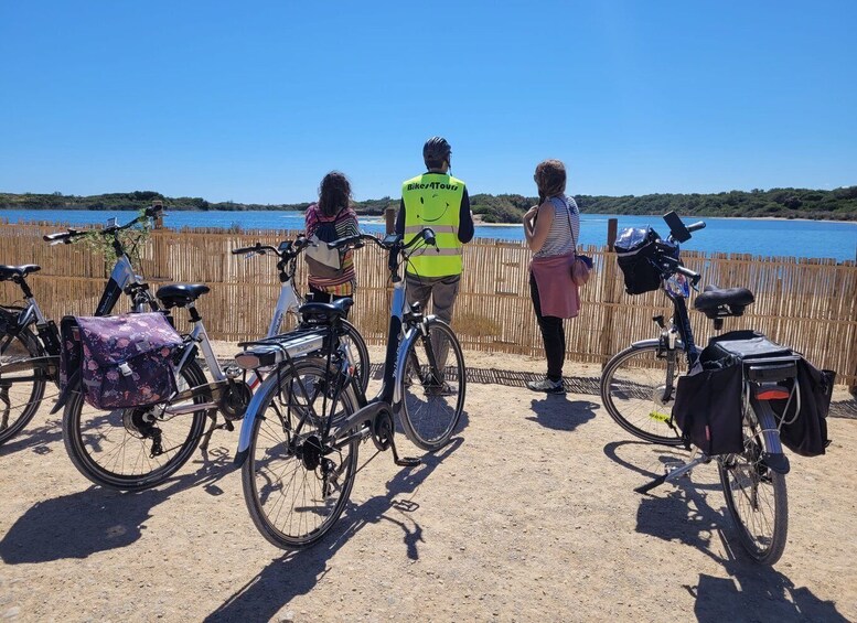 Picture 1 for Activity Valencia's Albufera, cycling guided tour