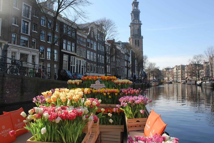 Picture 4 for Activity Amsterdam: Premium Tulip Boat Canal Tour