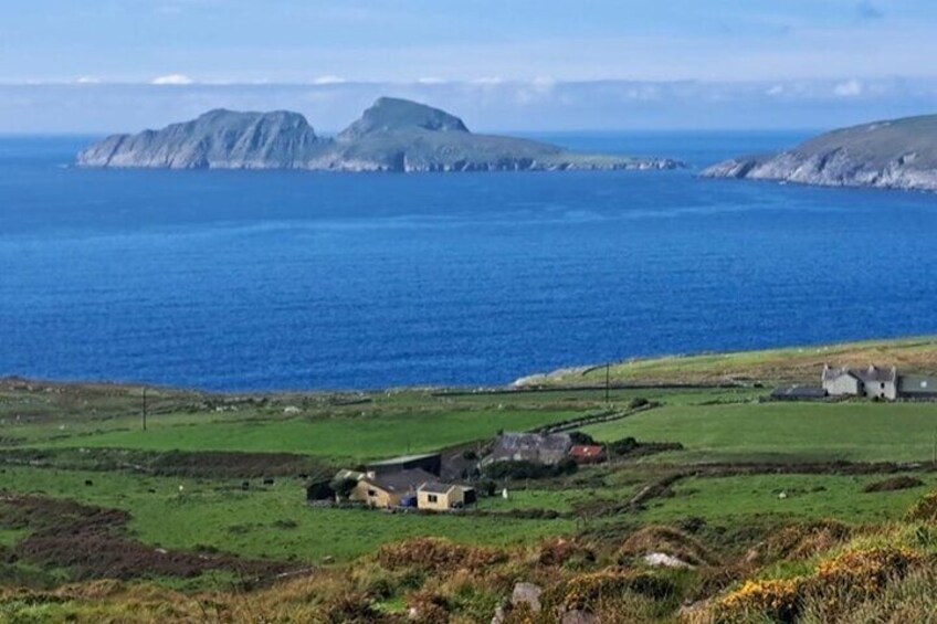 Private Ring of Kerry Tour from Cork City