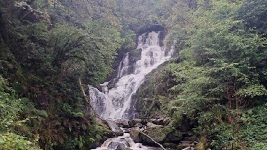 Private Ring of Kerry Tour from Cork City