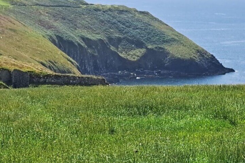 Private Ring of Kerry Tour from Cork City
